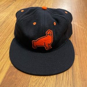 Ebbets field hat
